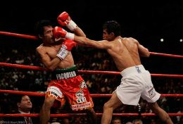 The Left Jab