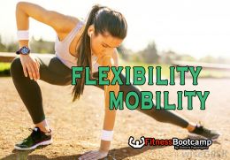 F.B. FLEXIBILITY MOBILITY